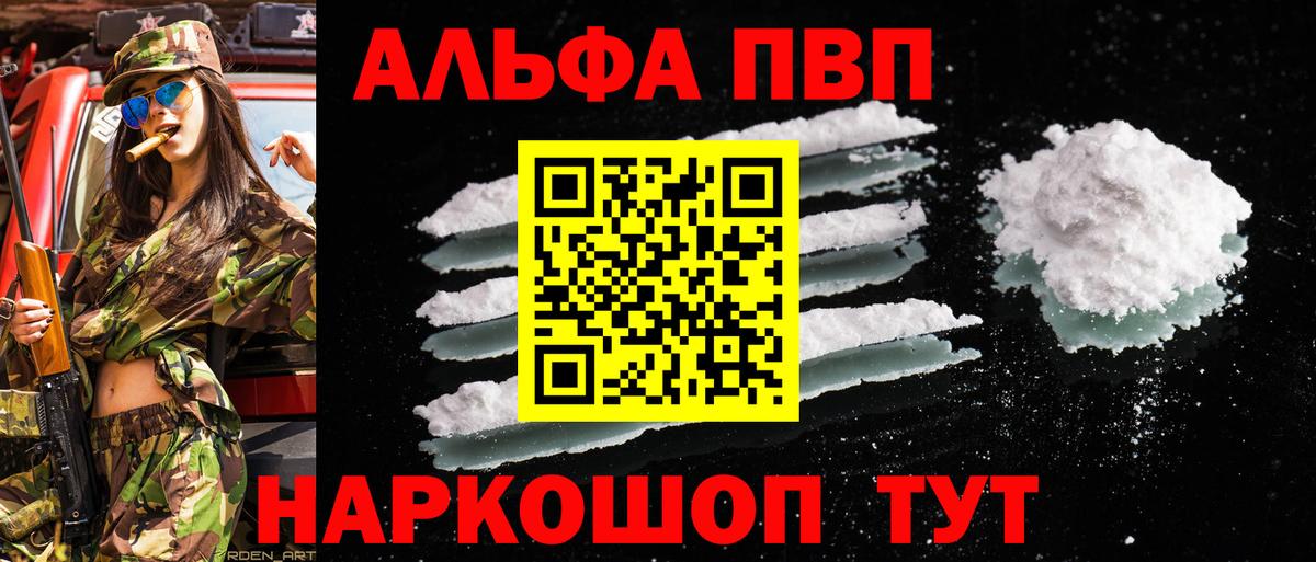 A PVP СК КРИС Волгодонск