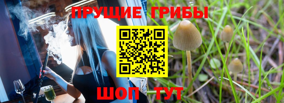 Галлюциногенные грибы MAGIC MUSHROOMS  Вход с VPN  Волгодонск  Псилоцибиновые грибы Psilocybe 
